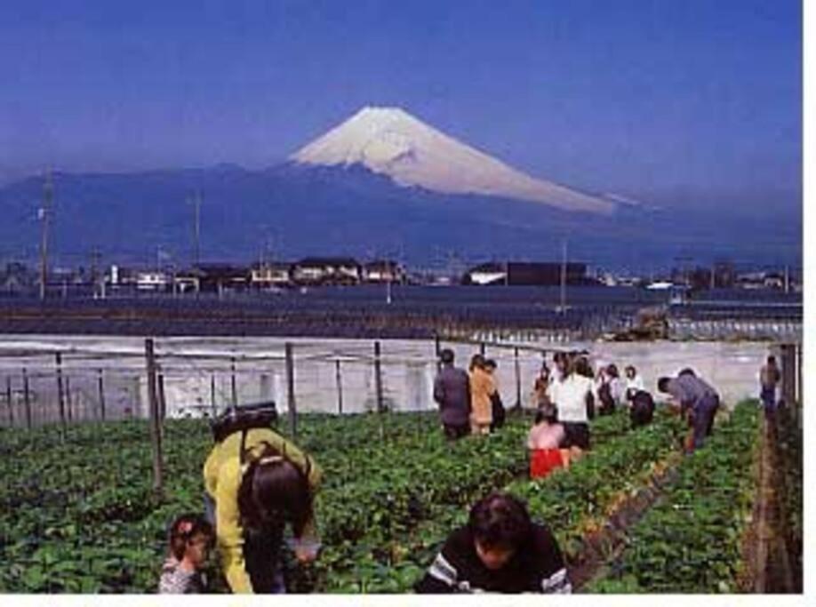 ゲストハウス+カフェわ　１日１組限定！ 築１００年の農家の古民家で宿泊体験、薪でお風呂沸かせます。焚き火もできます。 Kannami Extérieur photo
